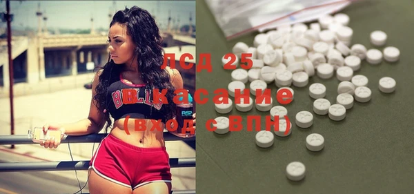 сатива Горняк