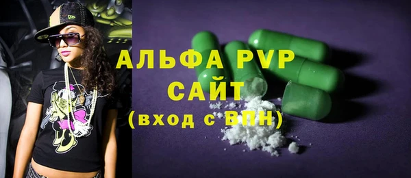 сатива Горняк