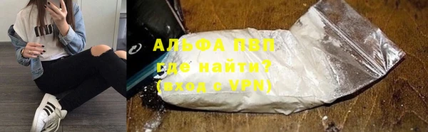 сатива Горняк