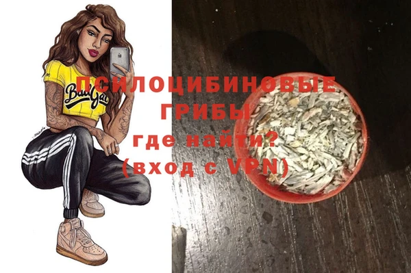 Альфа ПВП Горнозаводск