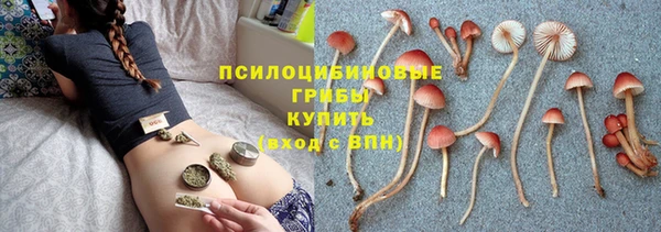 Альфа ПВП Горнозаводск