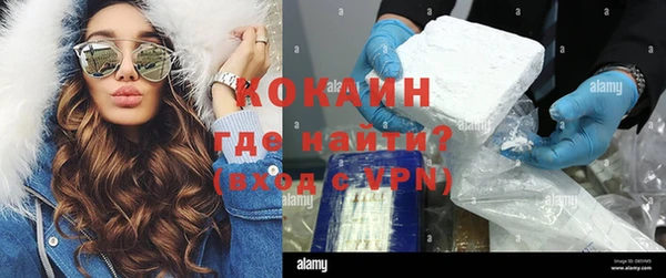 сатива Горняк