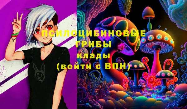 Альфа ПВП Горнозаводск
