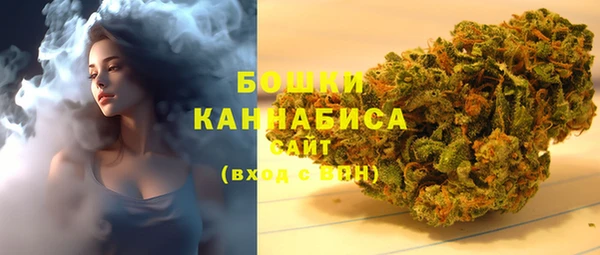 сатива Горняк