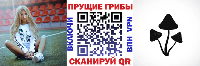Псилоцибиновые грибы мицелий  где продают наркотики  Меленки 